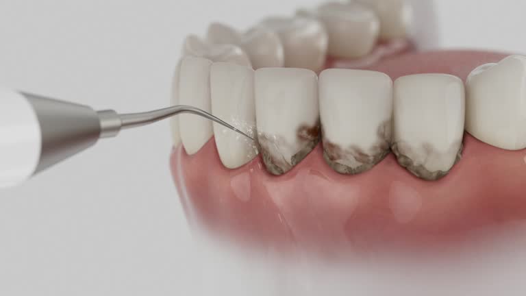 Reliable Dental contractor in Snyder, TX by Dentist Open Now